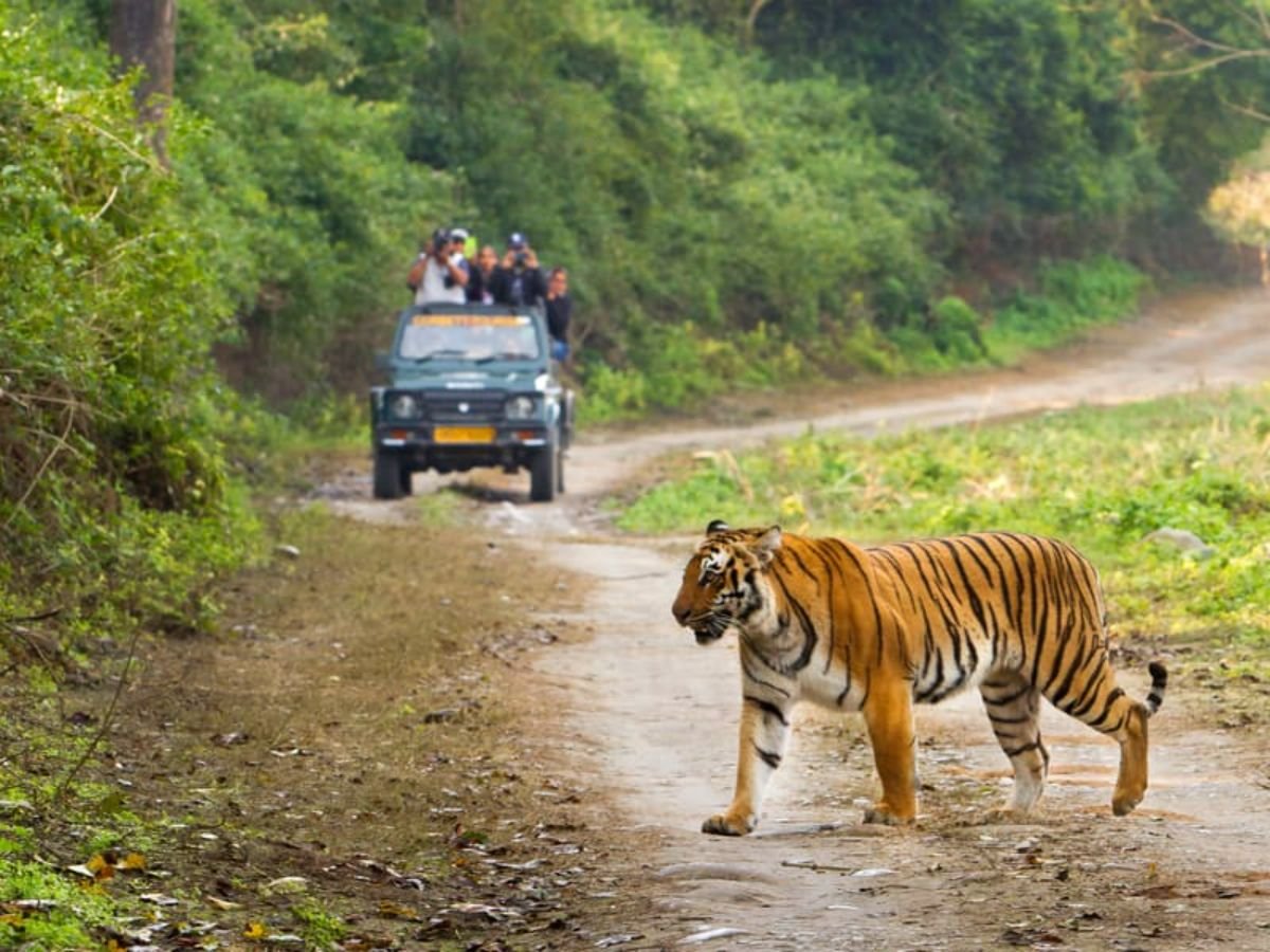 corbett package