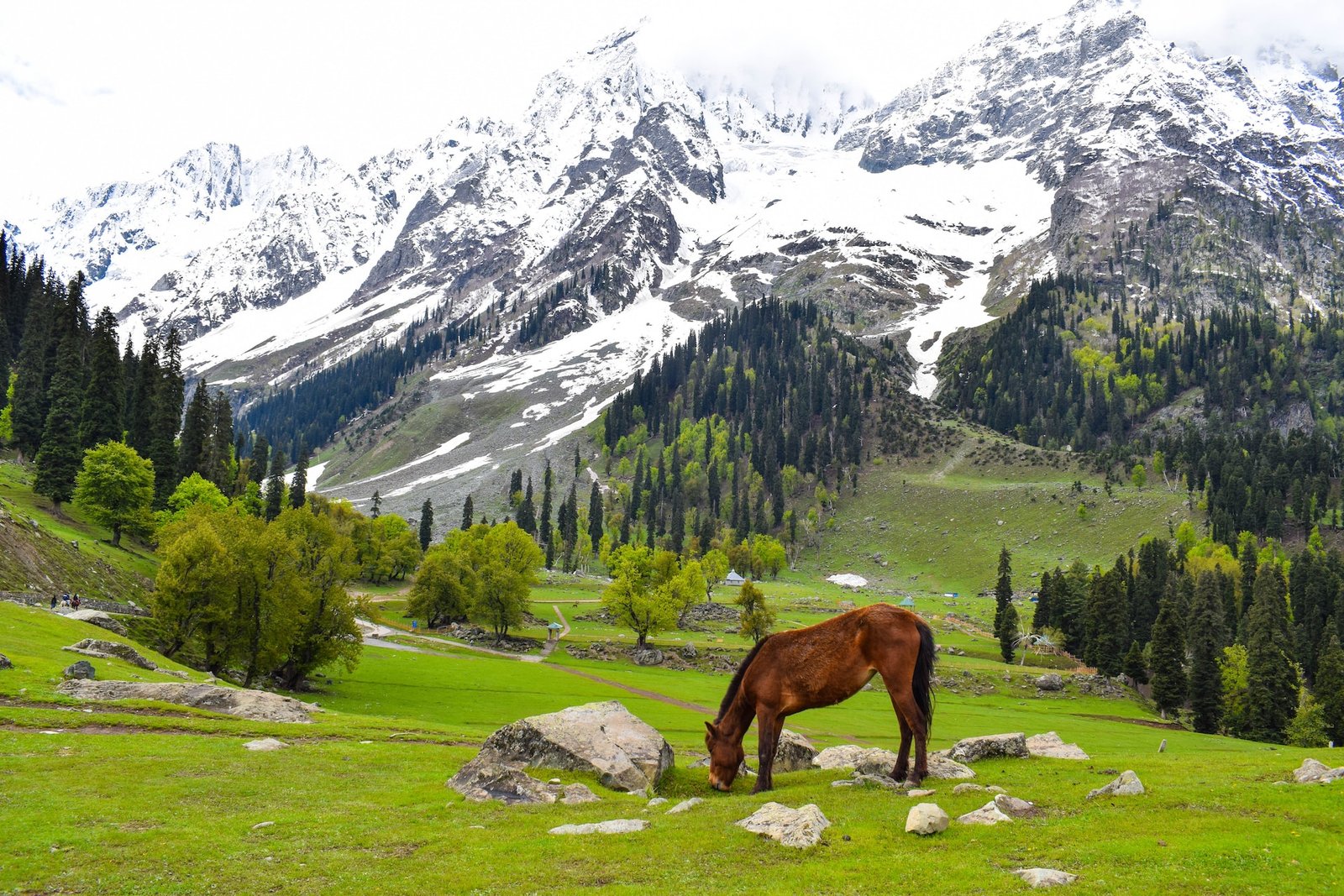 kashmir tourism